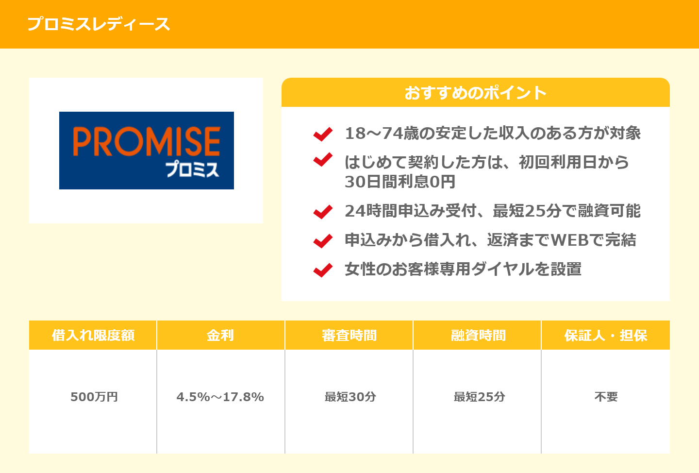 プロミスレディース概要